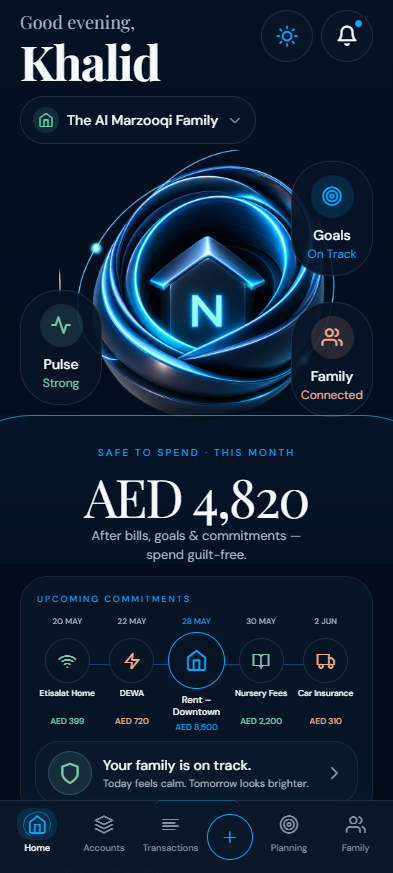 MoneyNest interface view 2