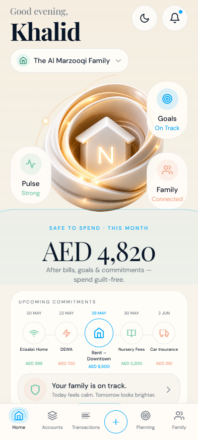 MoneyNest interface view 1