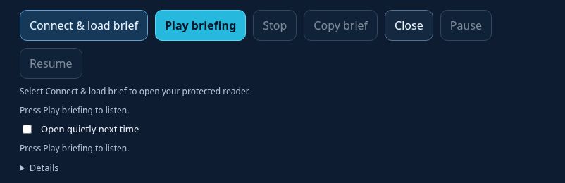 Voice briefing interface